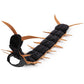 🐛Spooky Halloween Cat Centipede Shape Costume🐱